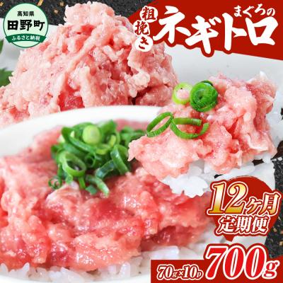ふるさと納税 田野町 〜四国一小さなまち〜≪カネアリ水産≫まぐろのネギトロ 700g(70g×10パック)★12ヶ月定期★