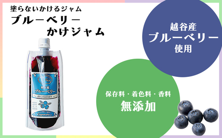 定番のかけジャムパウチパック3種類セット ／ 掛けるジャム 新感覚 いちごジャム メロンジャム ブルーベリージャム 携帯 エコ容器 埼玉県 No.245