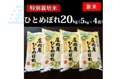 【令和7年産】特別栽培米ひとめぼれ20kg（5kg×4袋）