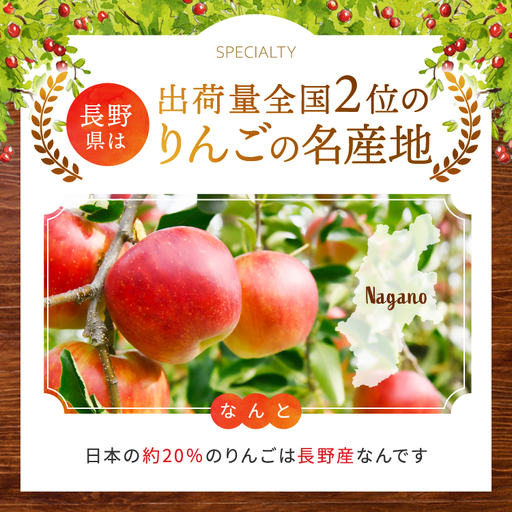 南信州産 りんご シナノゴールド 約5kg 【2026年10月中旬～発送】