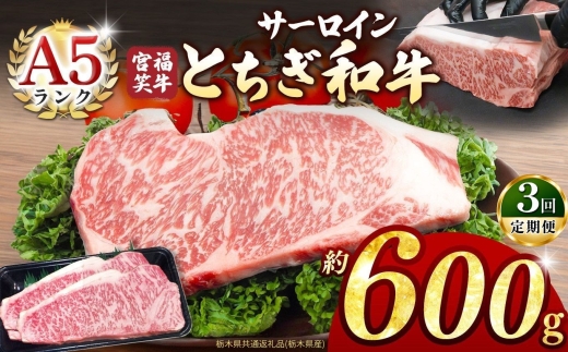 【定期便3回】宮福笑牛(とちぎ和牛) A5 サーロインステーキ 約200gx3枚  | 牛肉 和牛 ステーキ  定期便 サーロイン ステーキ ステーキ用 旨味 美味しい 肉 お肉  栃木県共通返礼品（栃木県産） 栃木県 真岡市