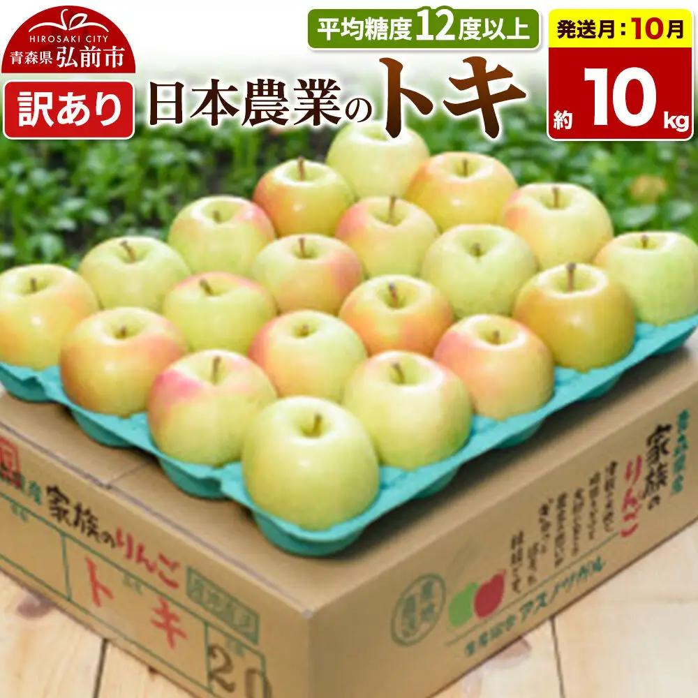 りんご トキ 訳あり 約10kg【10月発送】