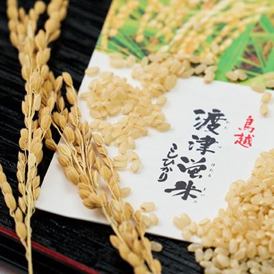 ふるさと納税 白山市 《高級日本料理店採用》蛍の里「渡津米」玄米5kg・栽培期間中農薬化学肥料70%減 |  | 02