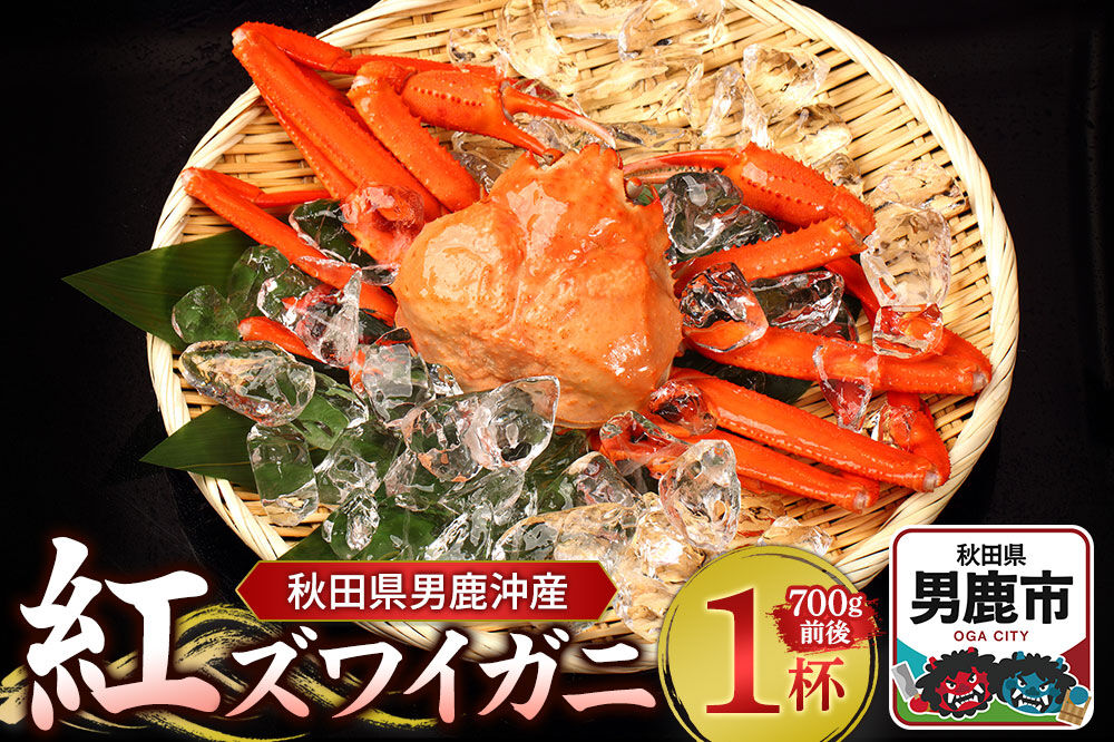 男鹿沖産紅ズワイガニ 700g 前後×1杯 男鹿なび 蟹 カニ 国産 秋田 ずわい蟹 ずわいガニ [新鮮 冷蔵便]|23_ogn-170101