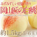 【ふるさと納税】もも 2024年 先行予約 岡山匠の白桃 約1.5kg 5～6玉 犬塚農園 岡山県産 清水白桃 桃 モモ ギフト 初夏 みずみずしい　倉敷市　お届け：2024年6月25日～2024年7月31日