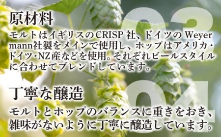 クラフトビール飲み比べ 330ml×6本 クラフトビール