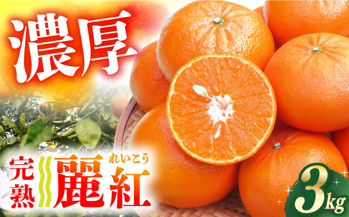 
            みかん【ご家庭用】麗紅（れいこう）3kg ー2026年2月中旬より発送ー 長与町/果豊園 [ECL001] みかん ミカン 蜜柑 柑橘 みかん フルーツ 果物 みかん 季節限定 先行予約 長崎県産 家庭用みかん 2月発送
          