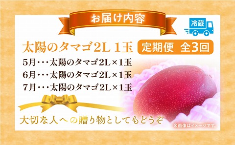 《2026年発送先行予約》【数量・期間限定】太陽のタマゴ2L1玉定期便　全3回 果物 フルーツ 定期便