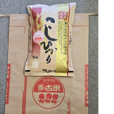 【ふるさと納税】【令和6年産】多古米コシヒカリ　白米5kg　渡辺与四郎商店【配送不可地域：離島】【1639519】