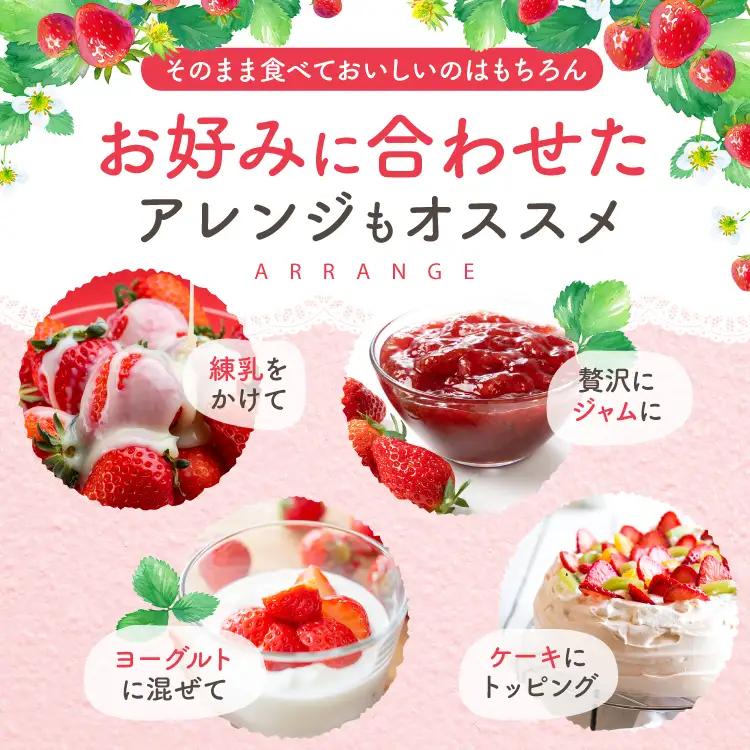 【先行予約】大分県ブランド いちご ベリーツ 約 800g ( 200g×4パック ) | 苺 イチゴ いちご ベリー フルーツ 果物 くだもの 大分県産 産地直送 九州産 国産 大分県 中津市