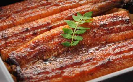 うなぎ 大和養魚 浜名湖 白焼1尾 計300g うなぎ