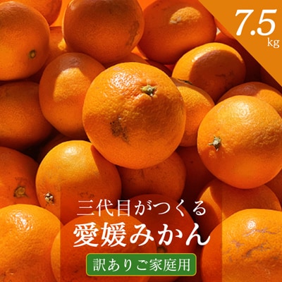 三代目がつくる愛媛みかん 7.5kg【訳あり(家庭用)】【C31−17】【1120067】