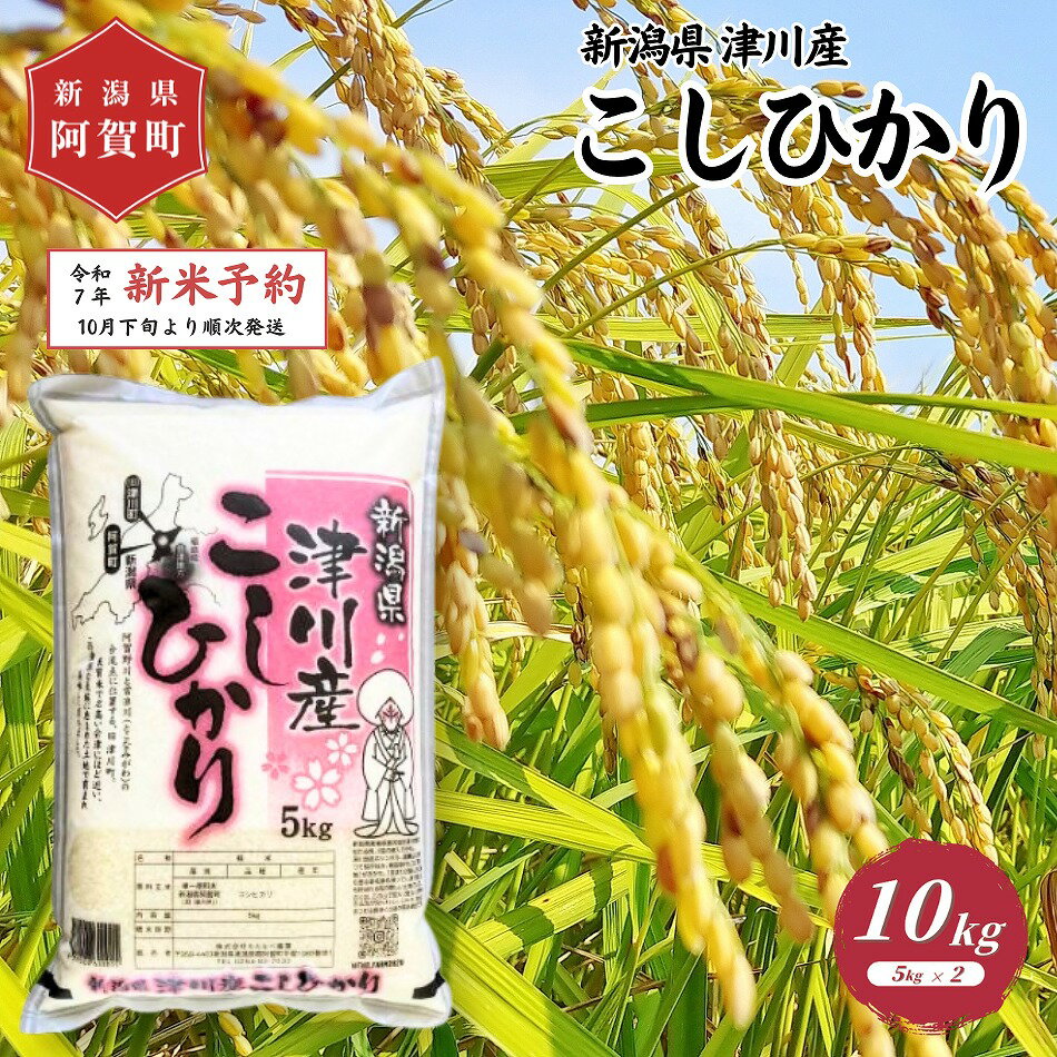【ふるさと納税】 《新米 コシヒカリ 新潟県 津川産》 米 10kg 新潟県産 「津川産 コシヒカリ」 令和7年産 5kg × 2袋 | 白米 精米 こしひかり 送料無料 お取り寄せ お米