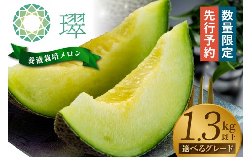 
                  【先行予約】養液栽培メロン「璻」1玉【選べるグレード】（糖度12度～14度以上、重さ1.3㎏以上）│メロン めろん 果物 フルーツ 高級 旬 お取り寄せ 青肉 ご褒美 グルメ 璻 甘い 愛知県 常滑市
                