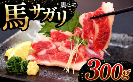 馬サガリ （ 馬ヒモ ） 300g | 肉 にく お肉 おにく 馬 馬肉 馬刺し 馬刺 馬焼き 熊本県 玉名市