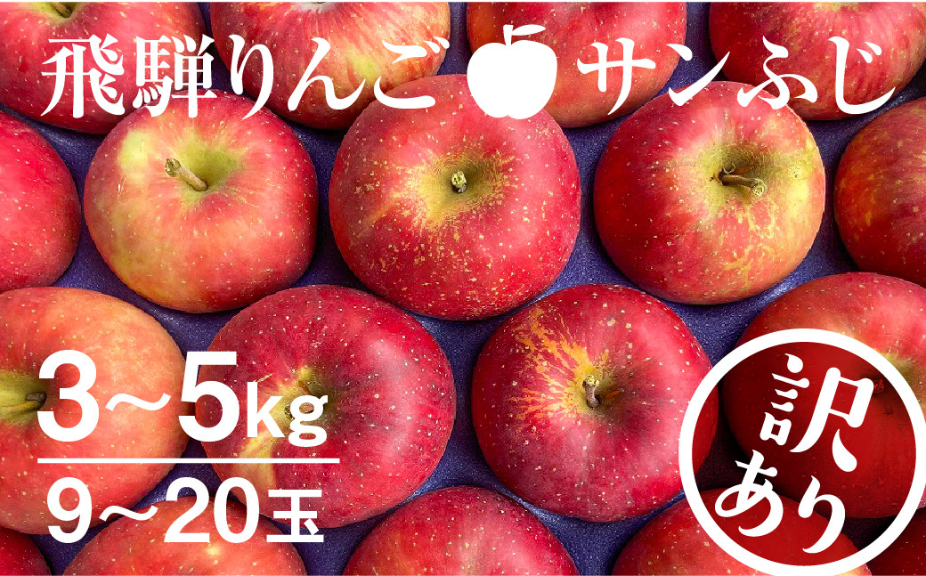 
            【2025年先行予約】2025年11月下旬から1月上旬発送《訳あり》りんご サンふじ 約3kg 約5kg 15～20玉 飛騨りんご 林檎 黒内果樹園 果物 国産 飛騨産 ご家庭用 家庭用 無袋栽培 syun35 訳あり 規格外 わけあり 不揃い ふぞろい ご自宅用 果物 くだもの フルーツ おいしい訳あり品 
          