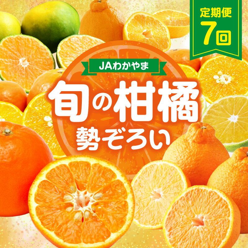 【ふるさと納税】JAわかやま紀州　柑橘勢ぞろい セット 7回 定期便 ふるさと納税 みかん 定期便
