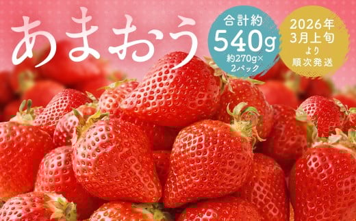 福岡県産 あまおう 合計約540g 約270g×2パック 【2026年3月上旬～3月下旬迄発送】