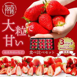 ★先行予約★贈答用いちご 3品種食べ比べセット(3パック入)[1月中旬より順次発送]【2602C09703】