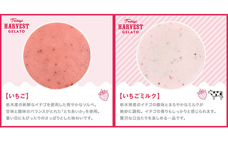 ジェラート「Harvest Gelato」 6個|いちごジェラート ジェラート アイスクリーム アイスセット スイーツ デザート ミルク 夏ギフト 贈り物 お返し 誕生日 プレゼント ギフト お祝い