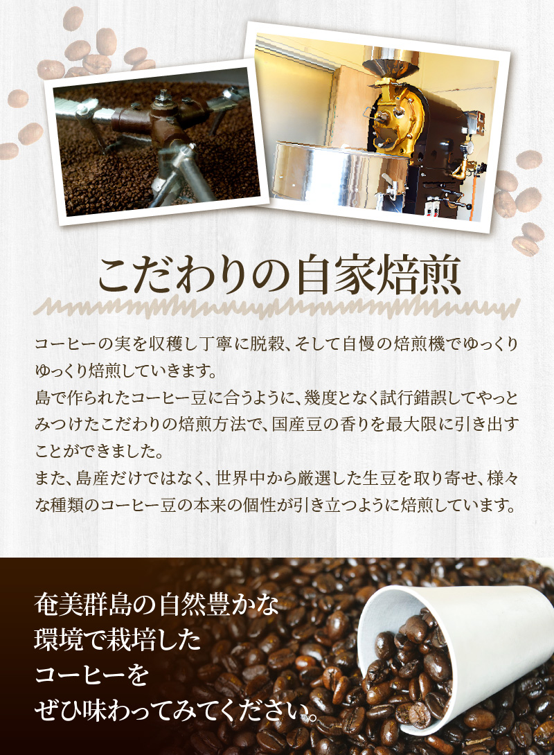 《人気の定期便3カ月コース》自家栽培・自家焙煎【てるまに珈琲】スペシャルブレンドコーヒーギフトセット＜豆+粉＞