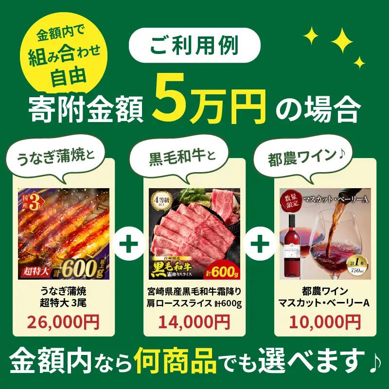 ≪期限1年間≫あとからセレクト 20万円コース【ふるさとギフト】 あとから選べる カタログ ギフト 鰻 肉 ワイン 都農町_T998-020