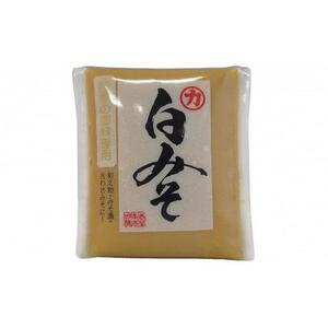 白みそ　10個（1個500g）