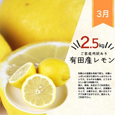 ふるさと納税 日高川町 【発送月固定定期便】紀州和歌山産旬のご家庭用柑橘セット(みかん・不知火・レモン)全3回 |  | 03