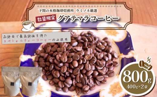 【浅煎り】 訳あり コーヒー粉 800g ( 400g × 2袋 ) 数量限定 ハンドドリップ グアテマラ 珈琲 下関 山口