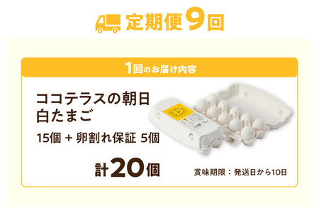 【9ヵ月定期便】ココテラスの朝日（白たまご）15個 + 5個保証（計20個）【JGAP認証】 農家直送 新鮮 卵 タマゴ 白卵 玉子 鶏卵 朝食 夕食 夜食 朝ごはん たまご焼き だし巻き卵 オムレツ