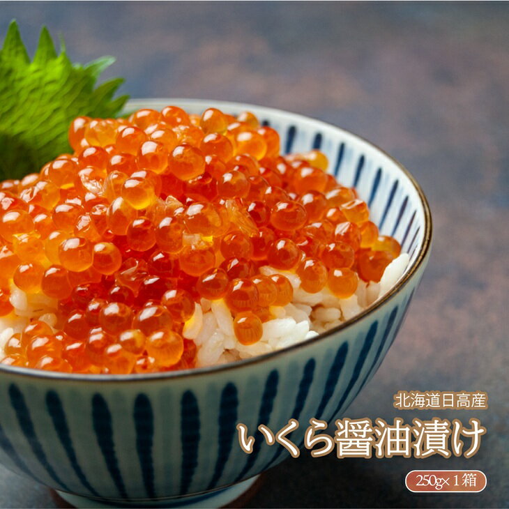 【ふるさと納税】北海道日高産 いくら醤油漬(250g×1箱)[02-1438] 北海道 浦河 ふるさと納税 いくら いくら醤油漬 日高産 送料無料