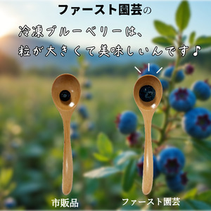 訳あり 冷凍ブルーベリー 約 1kg ブルーベリー