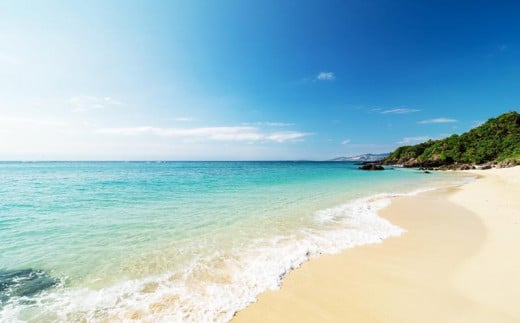 ホテルカラカウア シングルルーム 1名様 宿泊券 1泊（素泊まり）｜沖縄旅行 沖縄観光 沖縄ホテル 宿泊券 クーポン 旅行券