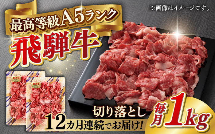 
            【12回定期便】A5等級 飛騨牛 切り落とし 1kg(500g×2パック) ブランド牛 最高級 A5ランク 岐阜市 / 三心 [ANGY018]
          