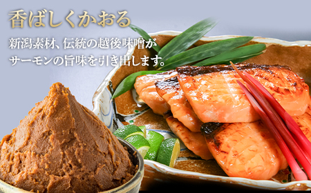 66-17美味極上　佐渡ゴールドサーモンの長岡越後味噌漬 8切入