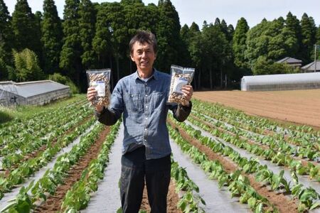 【先行予約】【12月上旬から発送】千葉県産 カラ煎り落花生 千葉半立 1.2kg（200g×6） SMF005