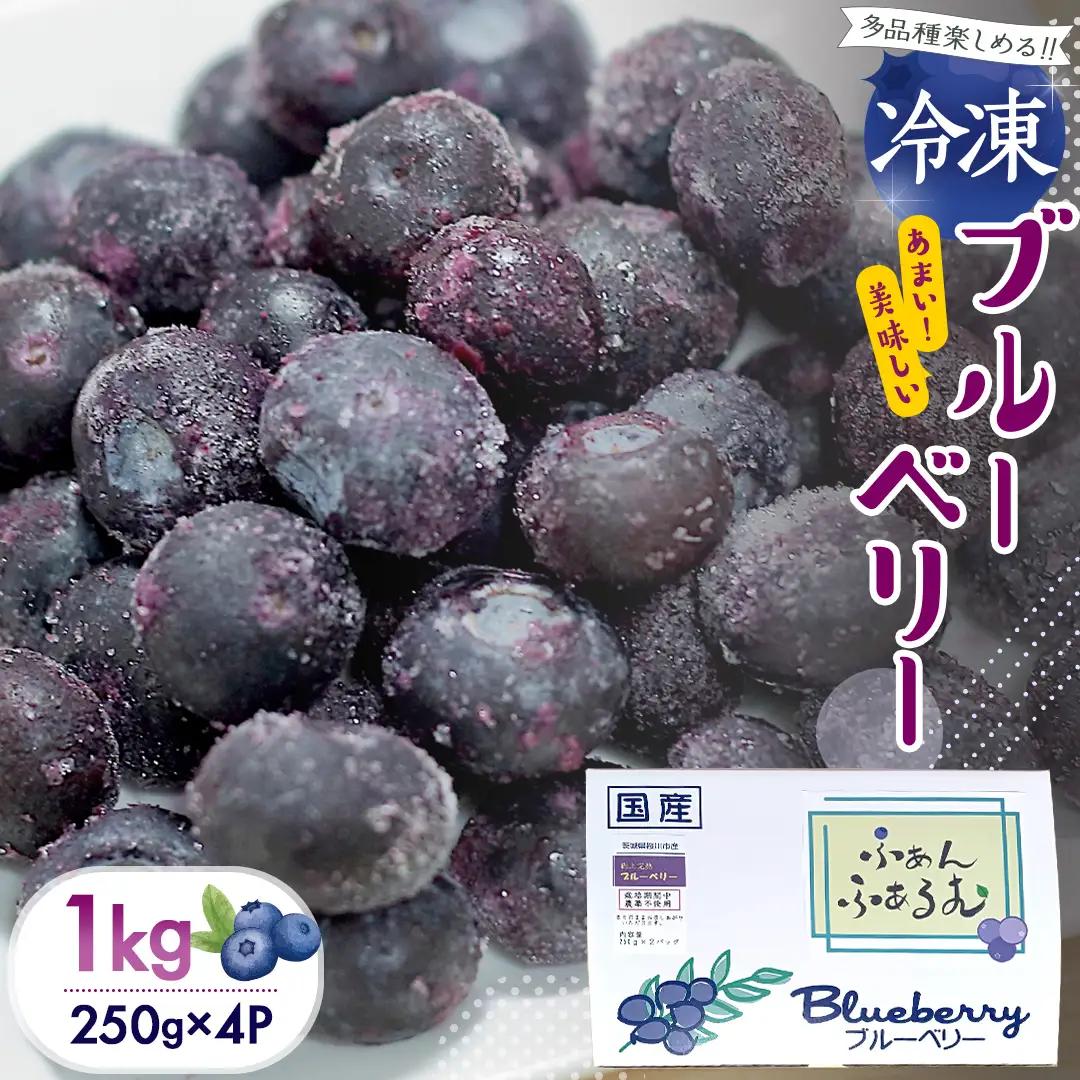 茨城県産 冷凍 ブルーベリー 合計 1kg (250g×4袋) 多品種 果実 果物 くだもの フルーツ おやつ ブルーベリー ベリー ジャム 小分け [DZ018sa]
