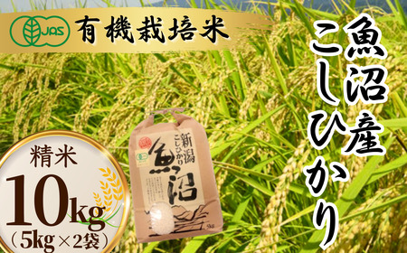 魚沼産コシヒカリ JAS有機栽培 5kg×2袋 精米 わたなべ農園 令和8年 新米