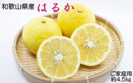 【さわやか柑橘】和歌山県産はるかみかん約4.5kg（サイズ混合　ご家庭用）※2027年2月下旬～2027年3下旬頃順次発送【tec954】