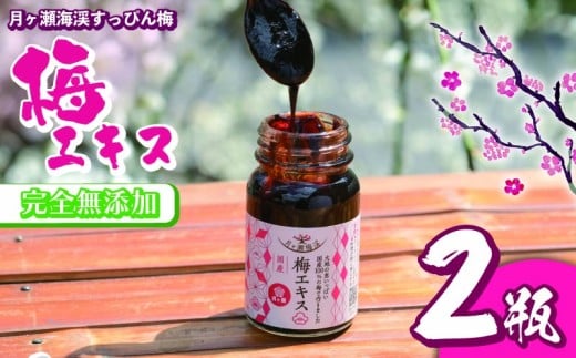 梅エキス６５ｇ×２本 無添加 青梅果汁のみ使用 月ヶ瀬梅渓名産月ヶ瀬梅渓名産 奈良県 奈良市H-91