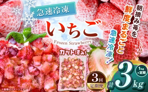 【栃木県共通返礼品】【定期便3回】冷凍いちご 1kg | 定期便 いちご とちあいか 冷凍 冷凍イチゴ スイーツ ジャム スムージー たっぷり 大粒  甘い 美味しい 果物 デザート 栃木県 那珂川町 送料無料