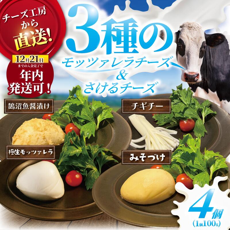 【ふるさと納税】 チーズ モッツァレラ 3種＋ チギチー チーズ 4種 セット 極生 魚醤漬け 味噌漬け 手作り 乳製品 CHEESE 詰合せ チギチー モッツァレラチーズ 裂けるチーズ ちーず ナチュラルチーズ cheese ビール Aprotodo’S 10000円 1万円 RRAAPBREWERY 神奈川 湘南 藤沢