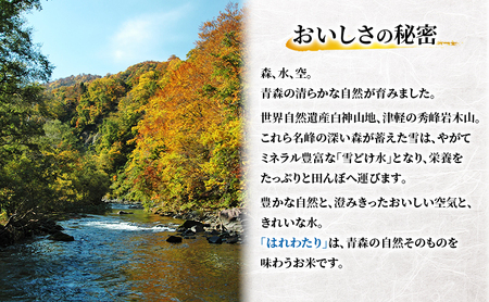 【6ヶ月定期便】【令和8年産新米先行予約】はれわたり 10kg(5kg×2袋) ×6回 計60kg 米 お米 白米 精米 ブランド米 単一原料米 5キロ 青森県産 はれわたり 青森県 鰺ヶ沢町