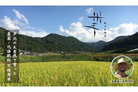 B135-49 米手(こめて)　ヒノヒカリ玄米10kg　【農薬・化学肥料不使用米】【令和７年産】