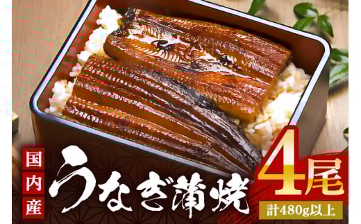 国産 やわらか 新仔 うなぎ 蒲焼 4尾 (4尾 計480g以上) ふっくら蒲焼き ブランド鰻使用 秘伝のタレ・山椒付き 湯煎で簡単調理 うな丼 ちらし寿司 贈答用 ギフト 冷蔵配送 茨城県 潮来市 (A23-014)