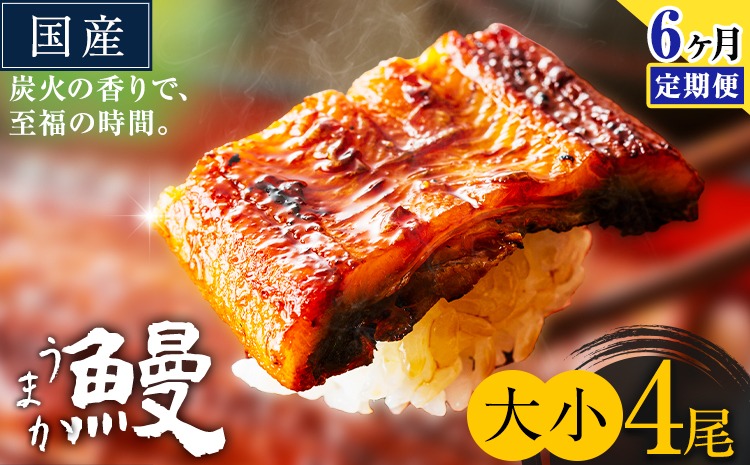 【6ヶ月定期便】うなぎ 大小 4尾  国産 鰻 真空パック おすすめ うなぎの蒲焼 《お申込み翌月から出荷》 ふるさとのうぜい 特上 簡易包装 ウナギ unagi 蒲焼 秋 冬 旬 配送時期 冷凍---mifune_lcl_1340_mo6---