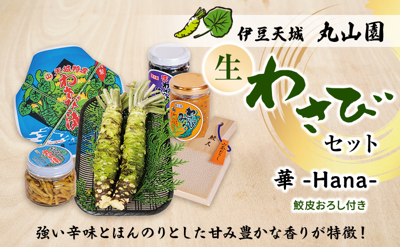 伊豆天城 丸山園 わさびセット 華 セット 詰め合わせ わさ