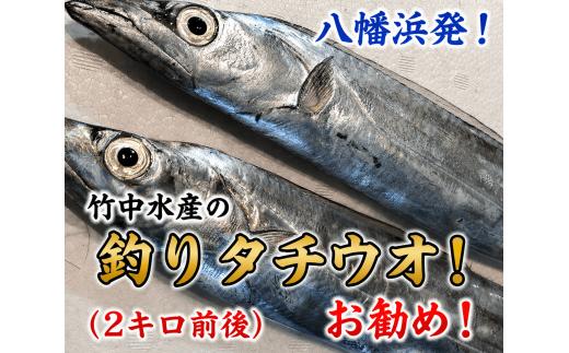 竹中水産の「釣の太刀魚」　約2キロ!＜F22-264＞_太刀魚 たちうお 天然 魚介 魚介類 海鮮 冷蔵 愛媛 八幡浜 産直 産地直送 国産 おかず おつまみ 鮮魚 希少 刺身 釣 【1078740】 YWTM082