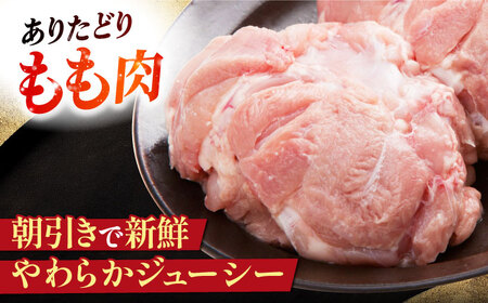 ハンバーグ付き！三栄のデイリーセット 【肉の三栄】 佐賀牛 佐賀県産豚 ありたどり 切り落とし[HAA203]