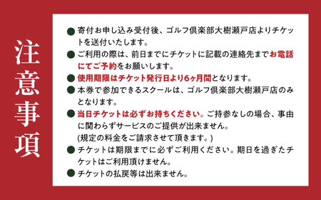 ゴルフ倶楽部大樹瀬戸店 トップトレーサー・レンジ レッスンチケット 4枚綴り / 瀬戸市 / 株式会社大樹開発 [BBEC005]